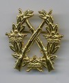 Swedish Army Rifle Badge GOLD 