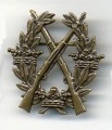 Swedish Army Rifle BRONZE Badge medal