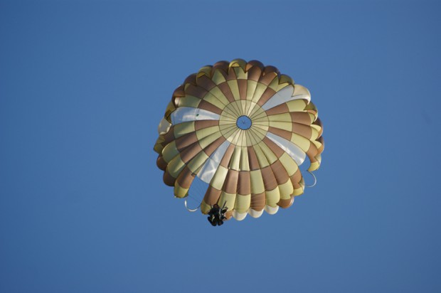 am-ovp-38