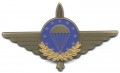 EMFV-Freifallerabzeichen in Bronze