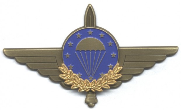 emfv-freifallerabzeichen-in-bronze