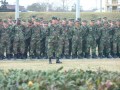 Bild-50