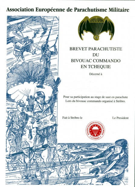 brevet-commando-gold