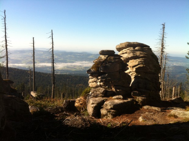 schoene-aussicht-ueber-den-bayerischen-wald