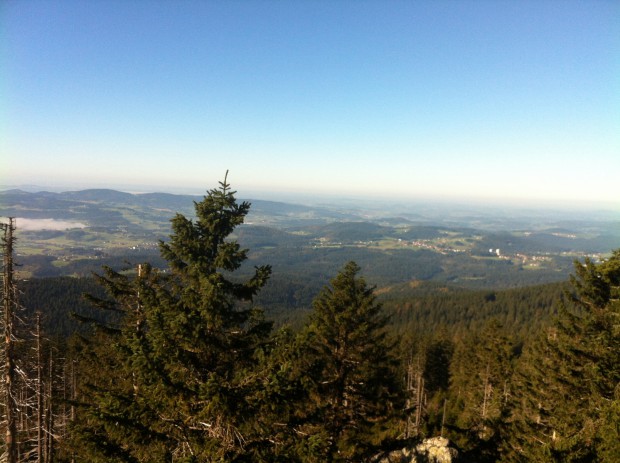 blick-ueber-den-bayerischen-wald