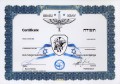 Krav Maga Medal in GOLD Document