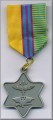 Krav Maga Medal in SILVER