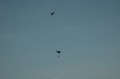 Zwei Fallschirme am Himmel