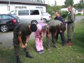 Bild-25