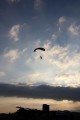 Bild-65