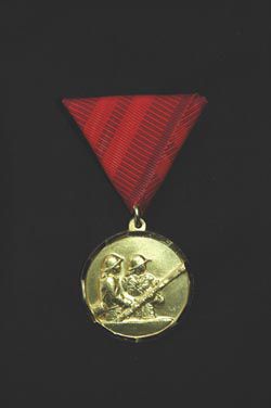 feuerwehr-einsatzmedaille
