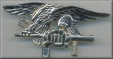 Special Task Force medal
