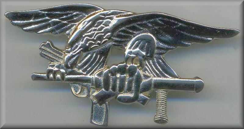 special-task-force-medal