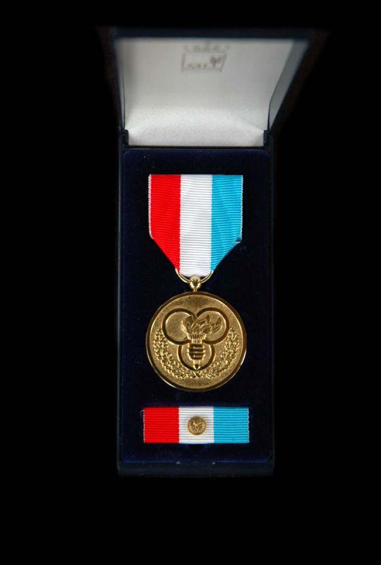 militaresportabzeichen-von-luxemburg-in-gold