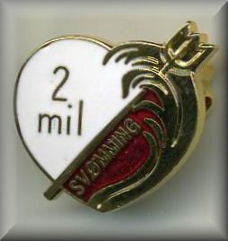 2-meilenschwimmabzeichen