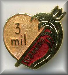 3-meilenschwimmabzeichen