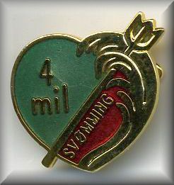 4-meilenschwimmabzeichen