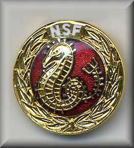 norwegischer-rettungsschwimmer-pin