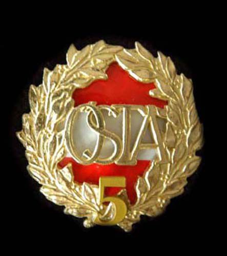 oesterreichisches-sport-und-turnabzeichen-in-gold