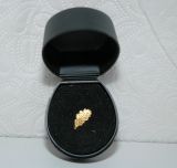 Ehrengabe 25 x Deutsches Sportabzeichen in Gold