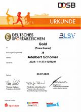 38 x Deutsches Sportabzeichen in GOLD