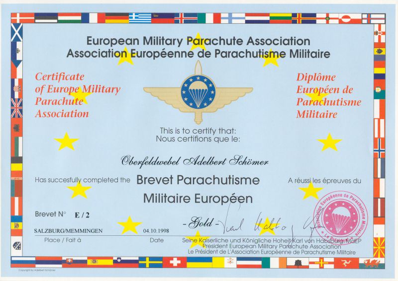 european-military-wings