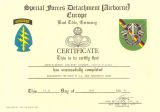 US Army Basic Parachutist Badge