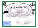 Urkunde US Army Fallschirmsprungabzeichen