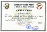 Peruanisches Militär-Fallschirmsprungabzeichen