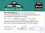 Niederlndisches Militr- Fallschirmsprungabzeiche