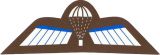 Niederlndisches Militr- Fallschirmsprungabzeiche