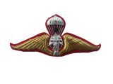 Royal Thai Army Wings