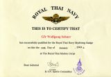 Royal Thai Navy Wings