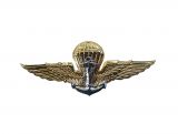 Royal Thai Navy Wings