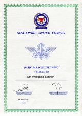 Singapore Army Wings