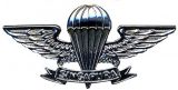 Singapore Army Wings