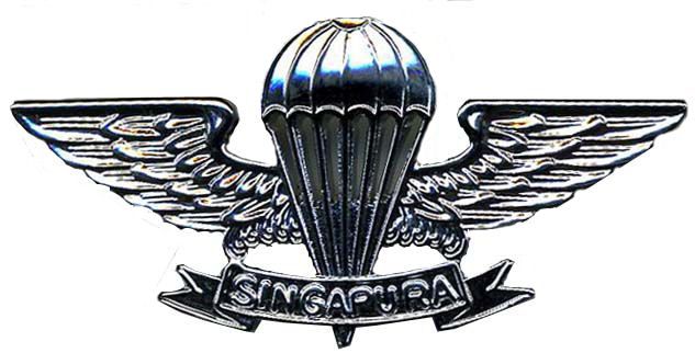 singapore-army-wings
