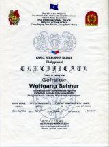 Philippine Army Wings