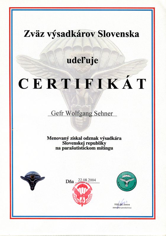 slovaky-army-wings