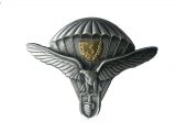 Slovaky Army Basic Wings