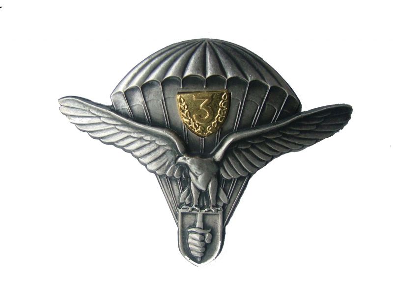 slovaky-army-basic-wings