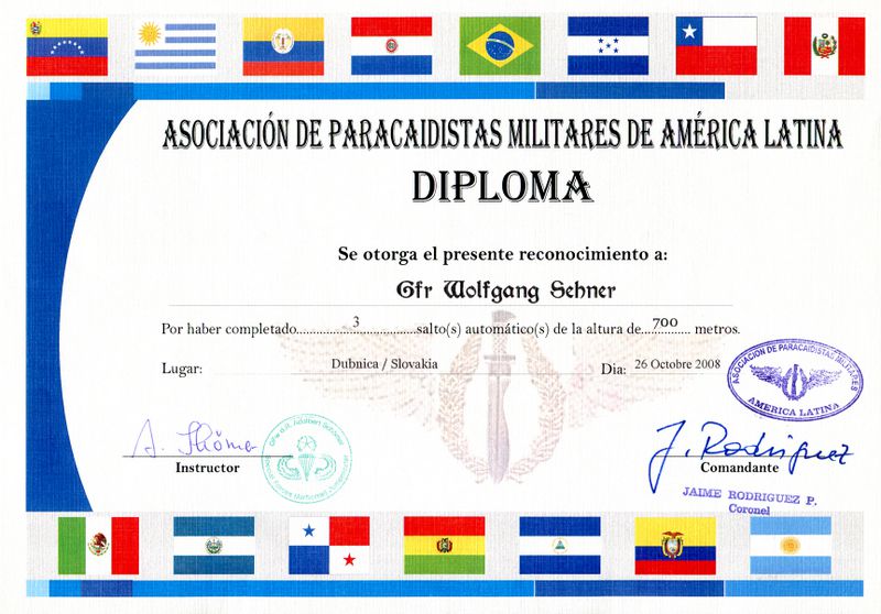 south-america-association-wings