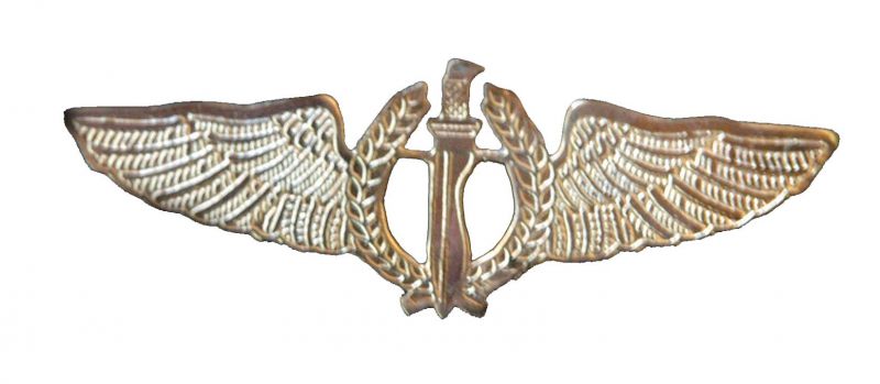 south-america-association-wings