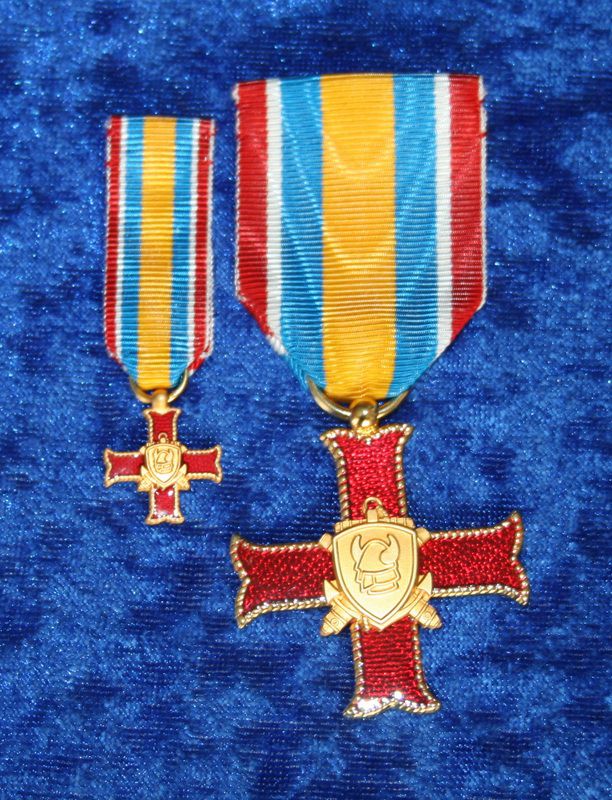 die-aelvsborgs-amfibieregimentes-minnesmedalj