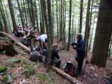 Kurze Rast im Bergwald
