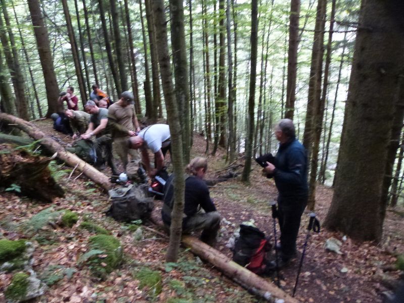 kurze-rast-im-bergwald