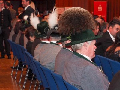 schoene-gamsbaerte-sind-zu-sehen