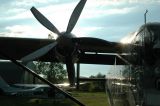 Bild-65