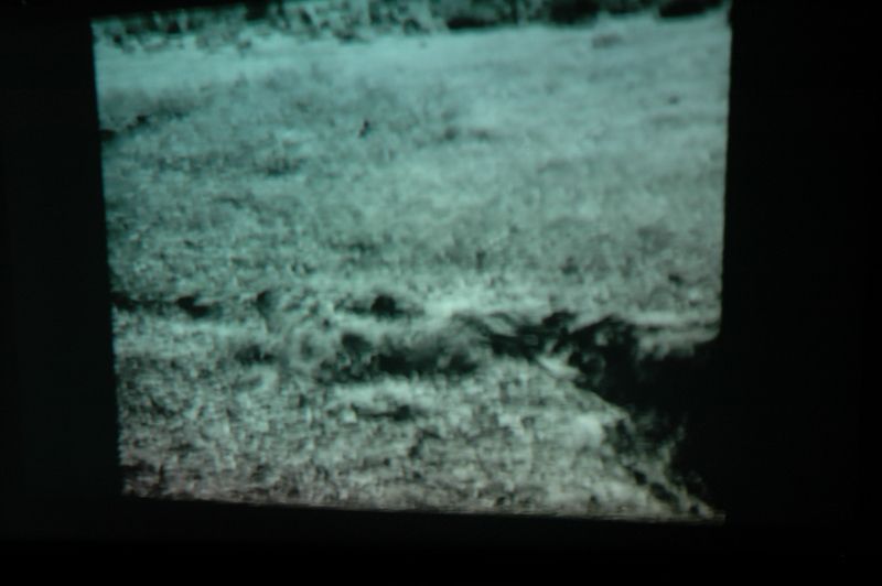 lehrfilmvorfuehrung