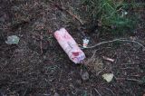 Bild-41